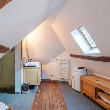 Lägenhet Le Passage Du Chateau Annecy