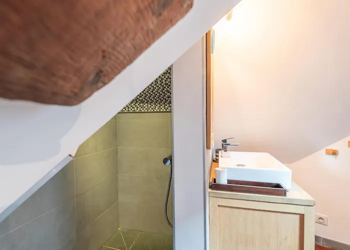 アパート Le Passage Du Chateau アヌシー